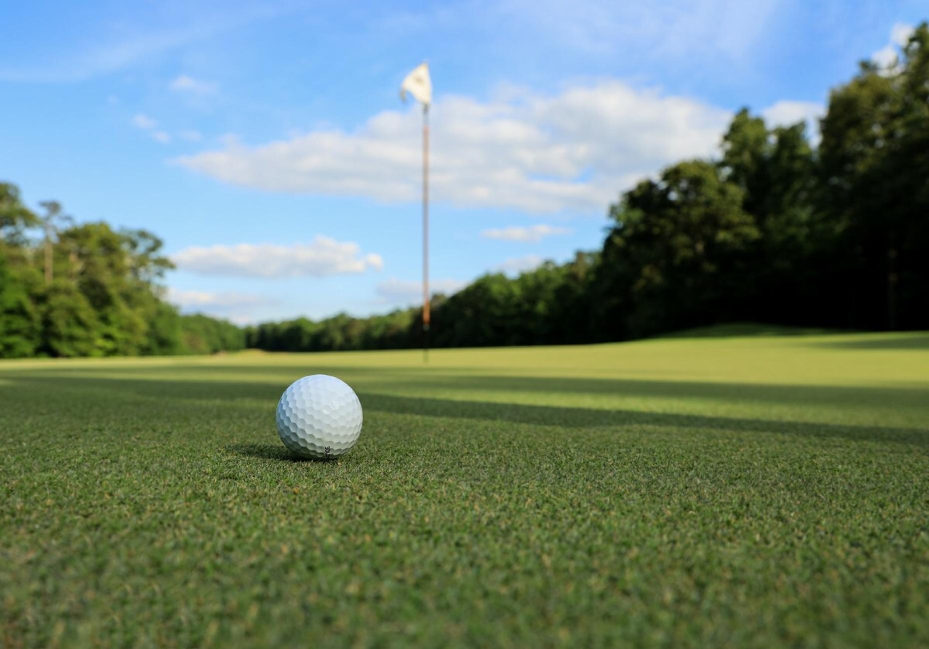 Golf 594026