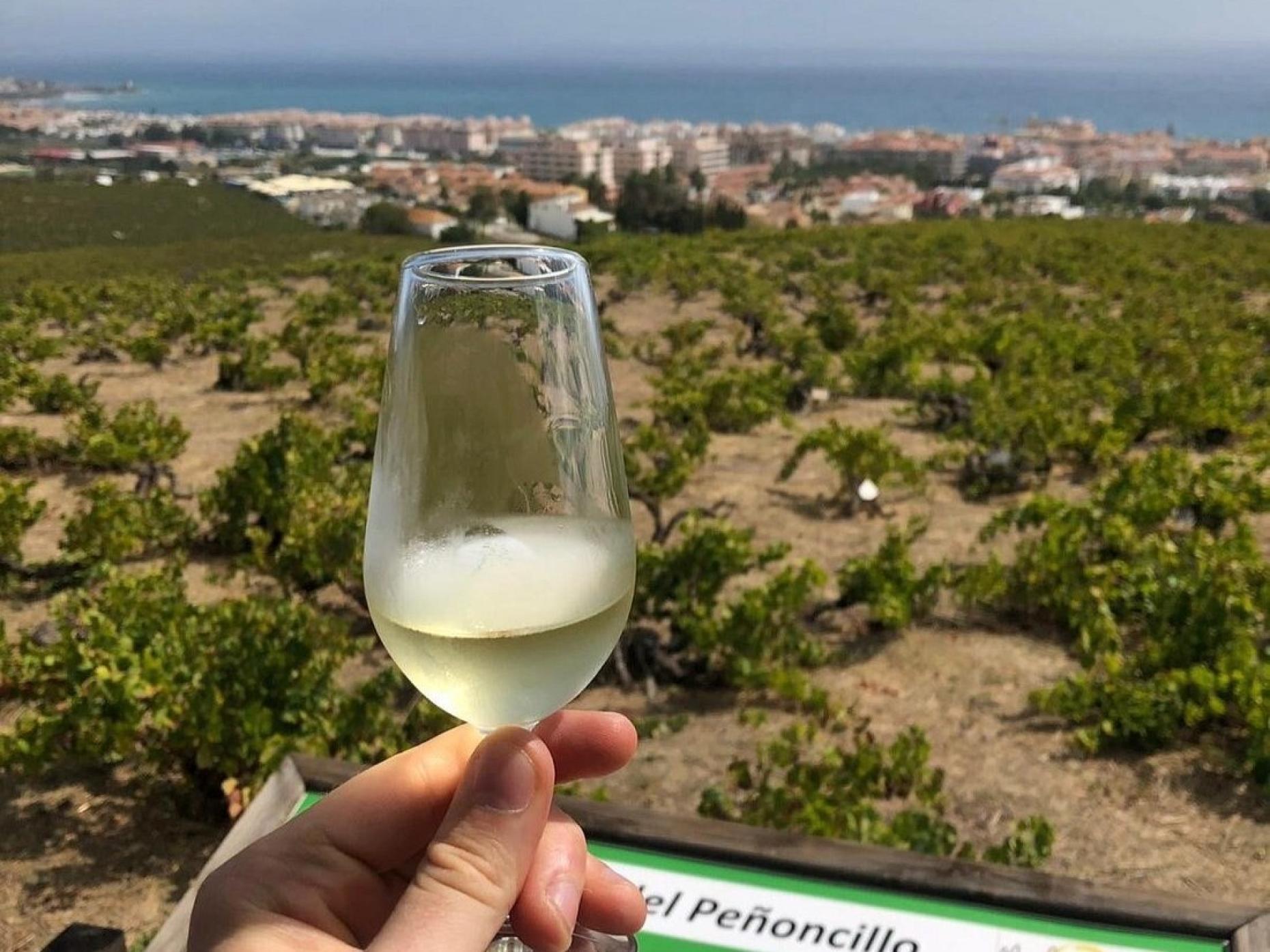Wine Manilva 724678